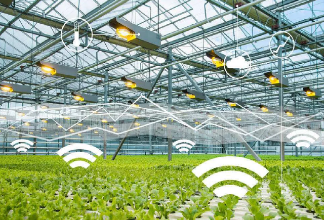 智能農(nóng)業(yè)管理下物聯(lián)卡的應用場景與功能特色