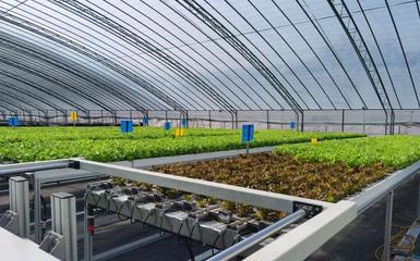 阿里云 智能農業的領航者，高科技助新農人畝產躍升六倍