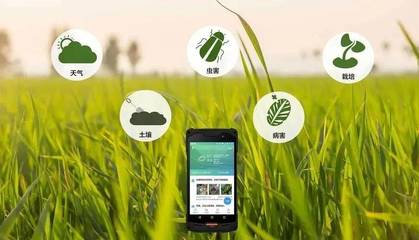 智慧農(nóng)業(yè) 以智能管理引領(lǐng)農(nóng)業(yè)現(xiàn)代化新征程