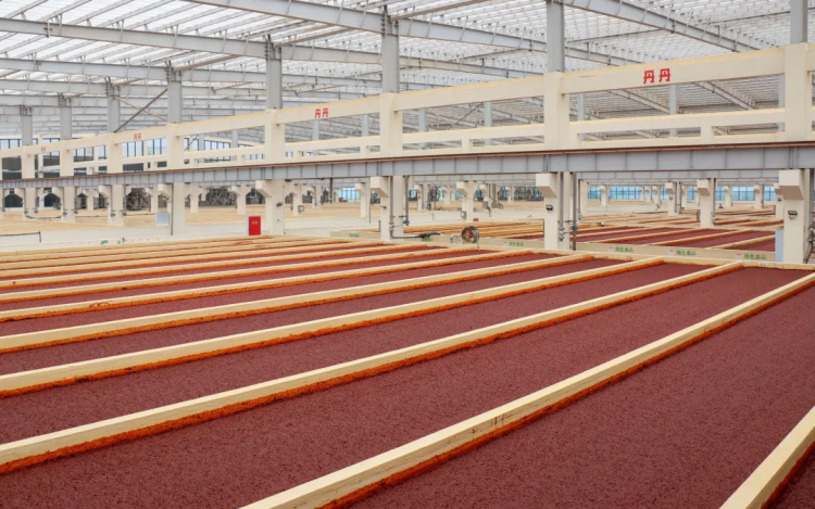 入選國家級重點培育名單！這勺郫縣豆瓣藏著川味的“世界通行證”與智能農(nóng)業(yè)管理