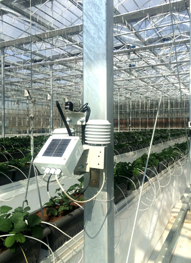智慧領(lǐng)航 綠意新生——解讀最新設(shè)施農(nóng)業(yè)智能管理項目建設(shè)方案