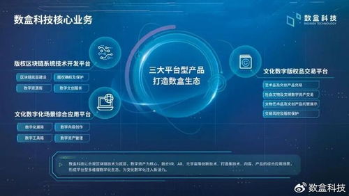數盒科技Pre-A輪獲國資參股，開啟數字文化創意內容應用服務新篇章
